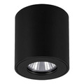Eglo Torrecola loftlampe rund i sort - udendørs